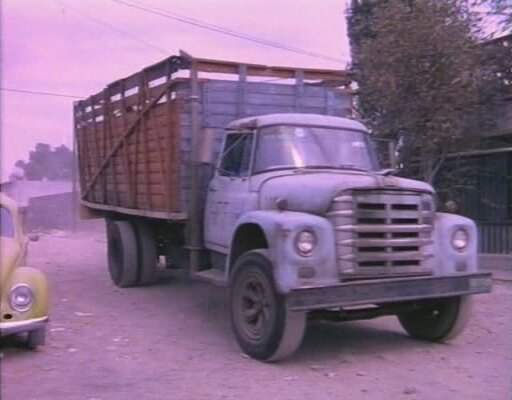 Dina 531