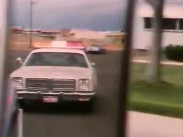 Dodge Monaco
