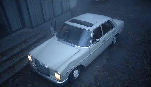 Mercedes-Benz 230