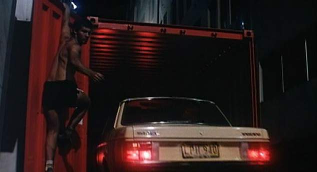 Volvo 244
