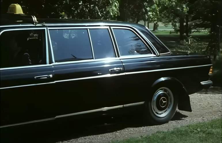 Mercedes-Benz 300 D Lang