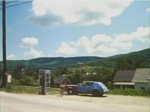 AMC Gremlin