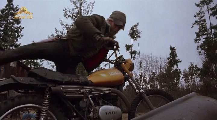 Yamaha DT 250