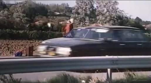Volvo 244