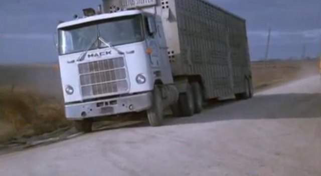 Mack Cruise-Liner