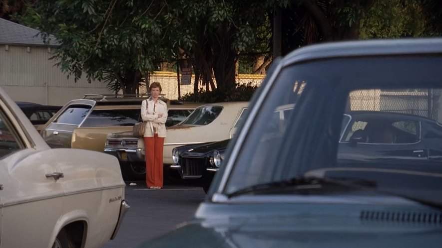 Oldsmobile Vista Cruiser