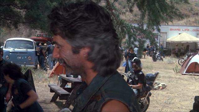 Volkswagen Station Wagon T2