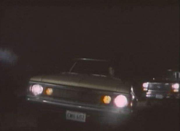AMC Hornet Sportabout