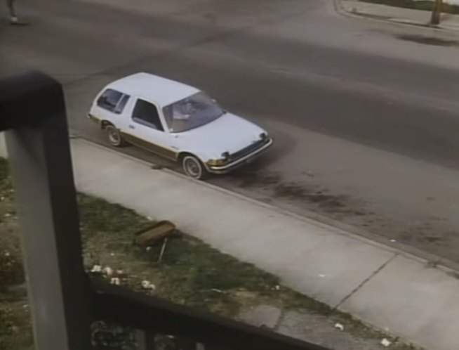 AMC Pacer Wagon