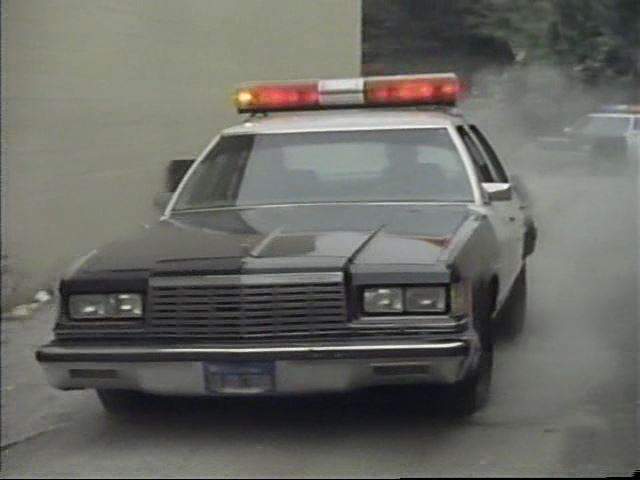 Dodge St. Regis