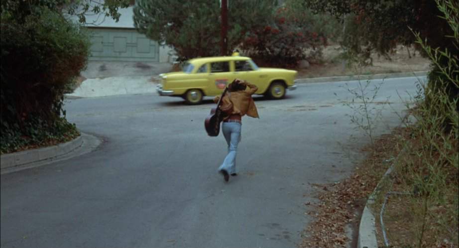 Checker Taxicab
