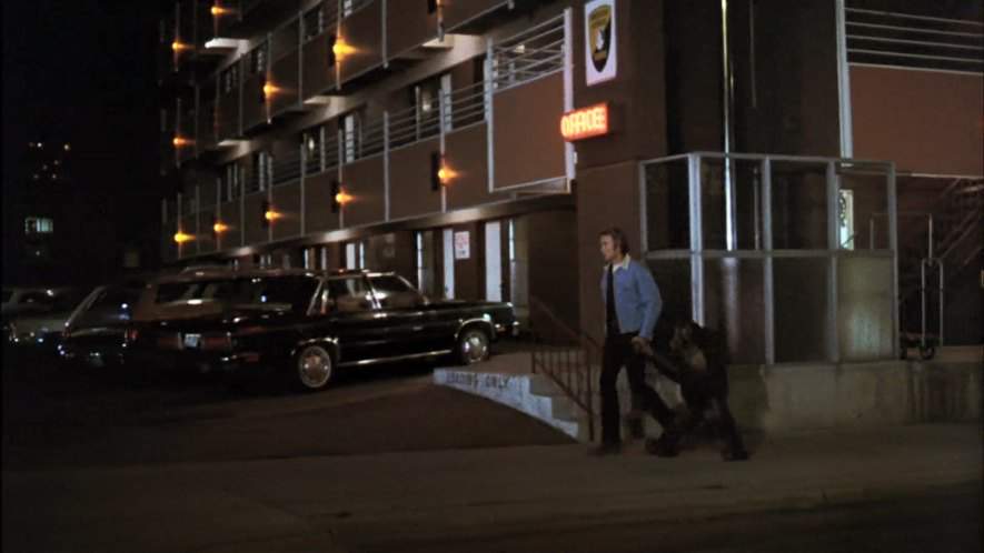 Ford Fairmont Futura