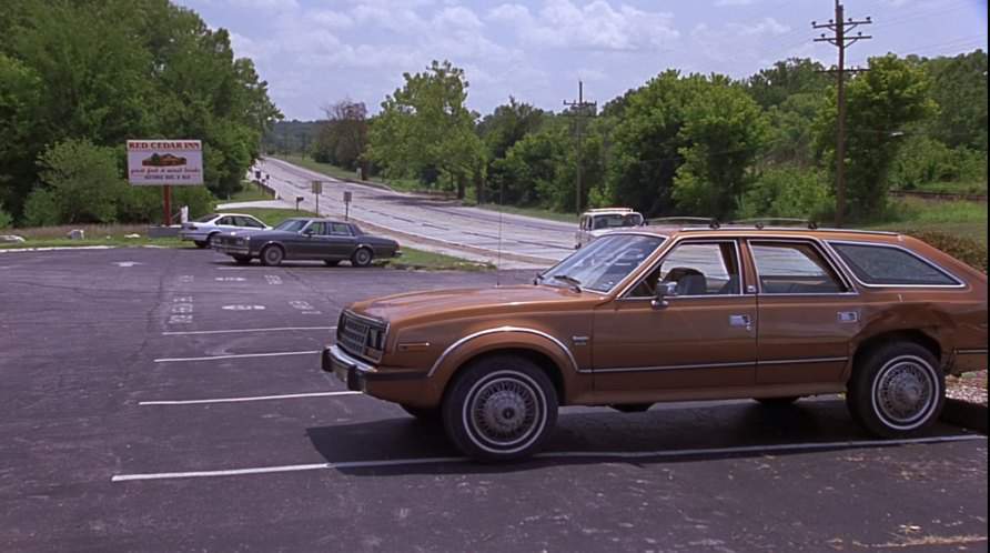 AMC Eagle