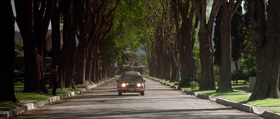 Cadillac Fleetwood Funeral Coach
