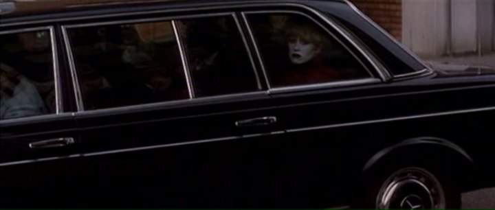 Mercedes-Benz 250 Lang