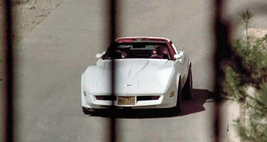 1980 Chevrolet Corvette C3 in Nightkill