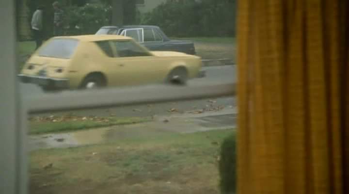 AMC Gremlin
