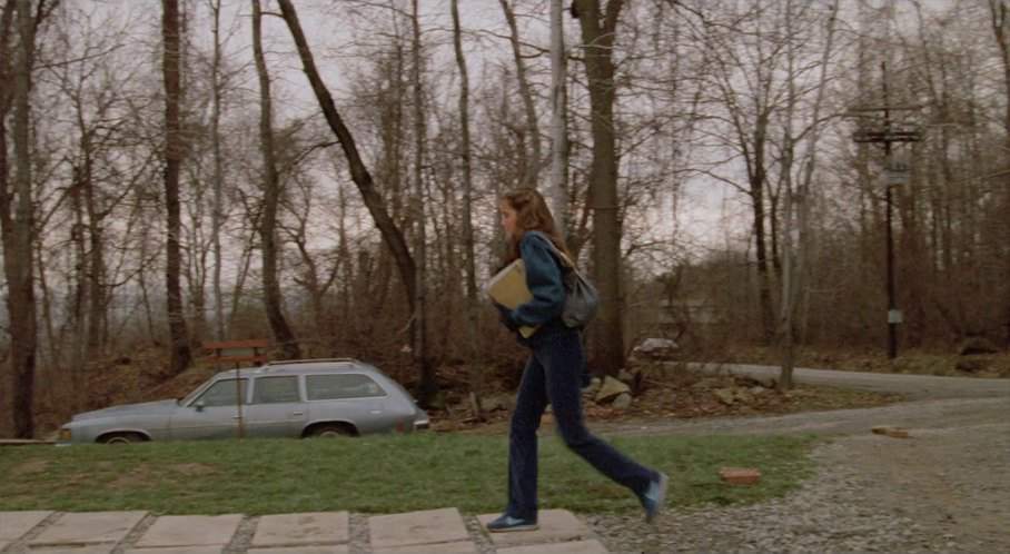 Pontiac LeMans Safari