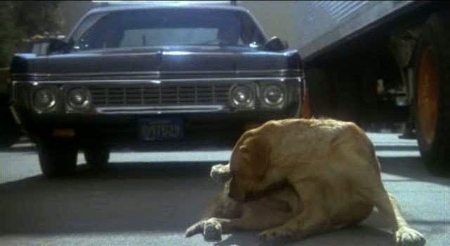 Dodge Polara