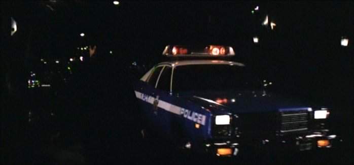 Dodge Monaco