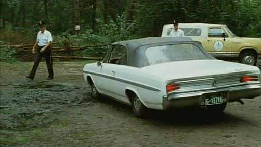 Buick Skylark
