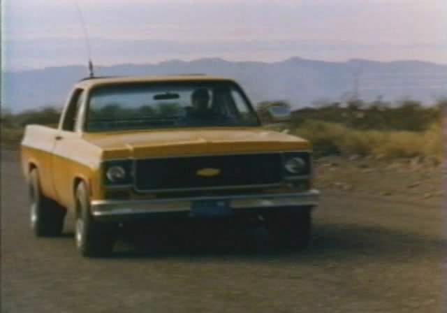 1973 Chevrolet C-10 in Thunder Run