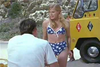 Penn Hi-Cube Versatile Van