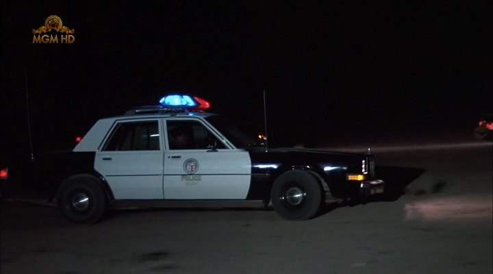 1984 Dodge Diplomat in Miracles