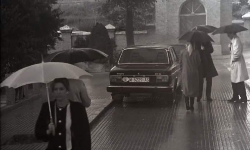 Volvo 244