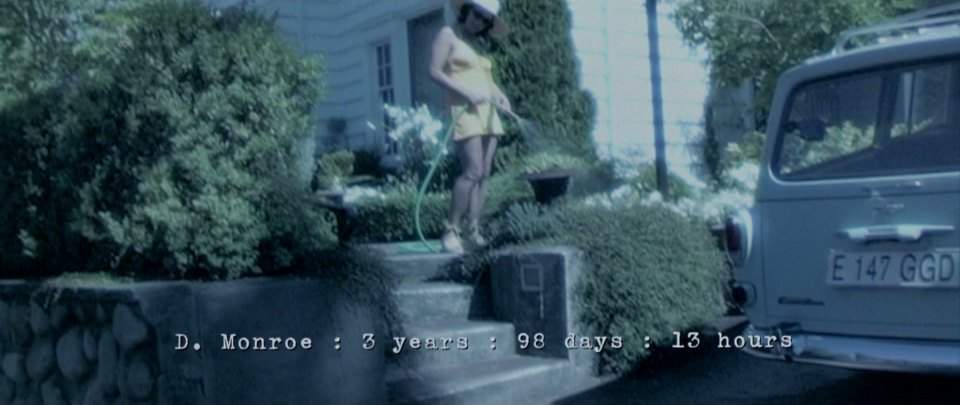 Volvo Canadian Station Wagon