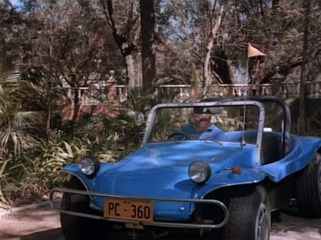 Custom Made Dune Buggy
