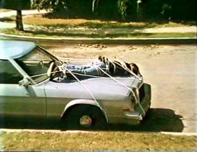 Plymouth Gran Fury