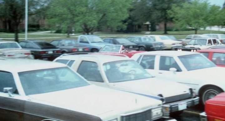 AMC Pacer Wagon