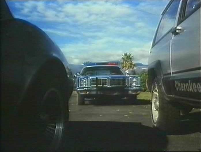 Dodge Monaco