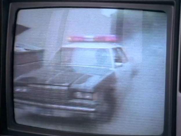 Dodge St. Regis