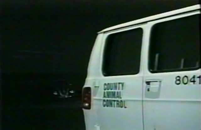 Dodge Ram Van