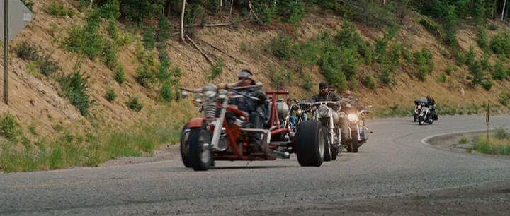 Custom Made Trike