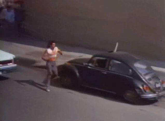 Volkswagen Super Beetle