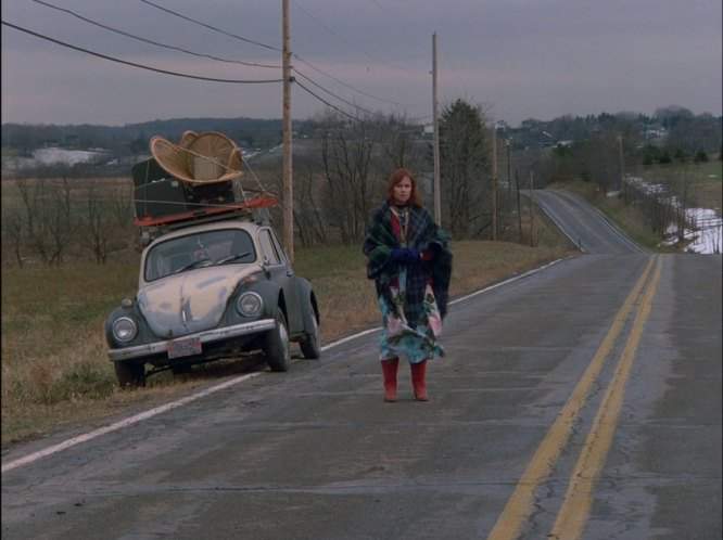 Volkswagen Super Beetle