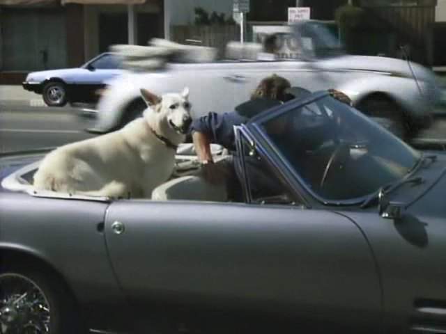 Volkswagen Convertible