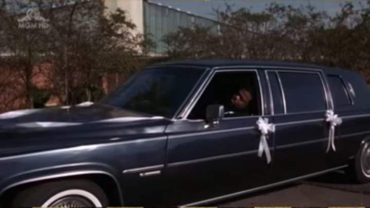 Cadillac Fleetwood Limousine