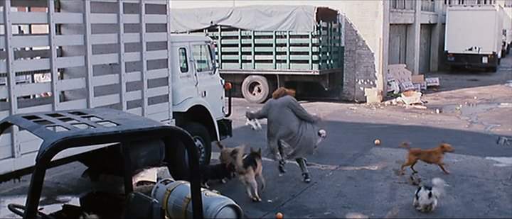 International Harvester Cargostar