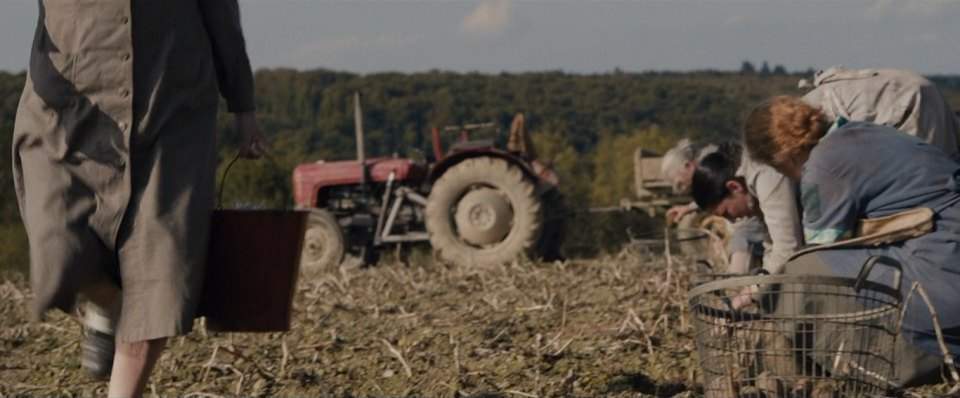 Massey Ferguson unknown