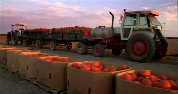 Case Agri King