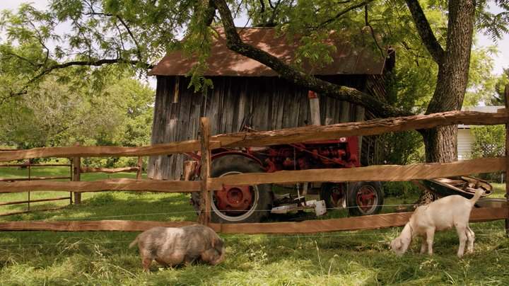 International Harvester Super A