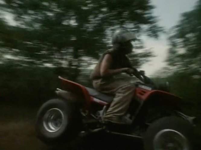 Yamaha Warrior