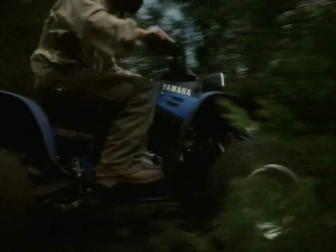 Yamaha Warrior