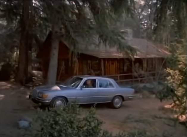 Mercedes-Benz 450 SE