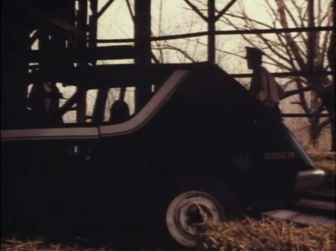 AMC Gremlin