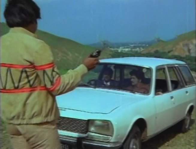 Peugeot 504 Break